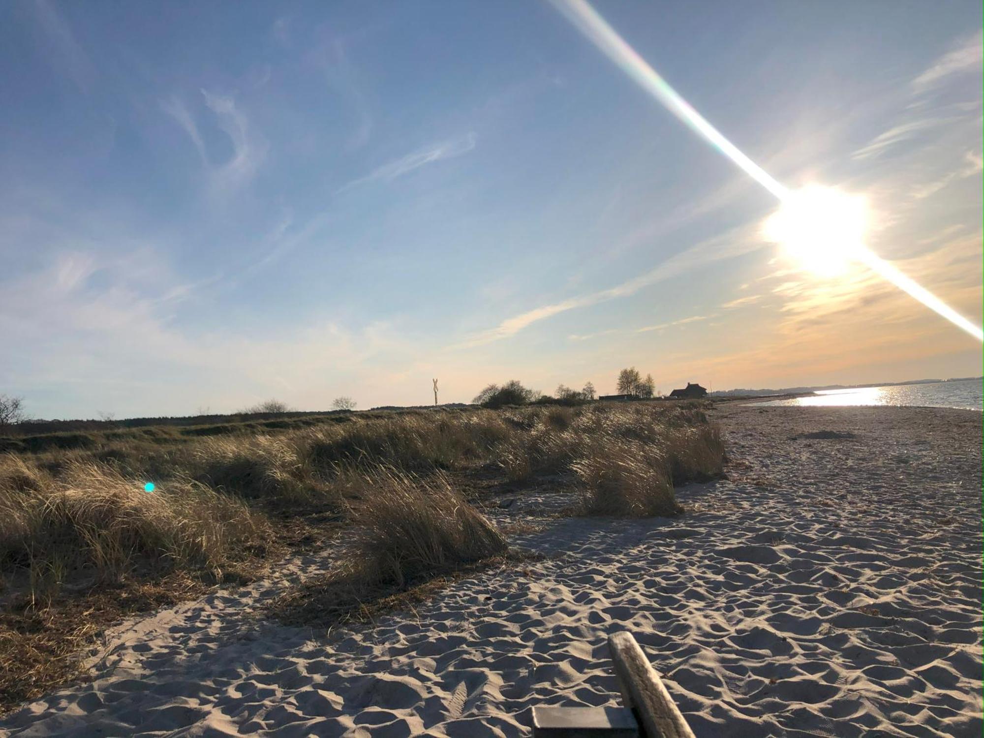 Neue Ferienwohnung An Der Ostsee,Terrasse,Sauna Surendorf ภายนอก รูปภาพ