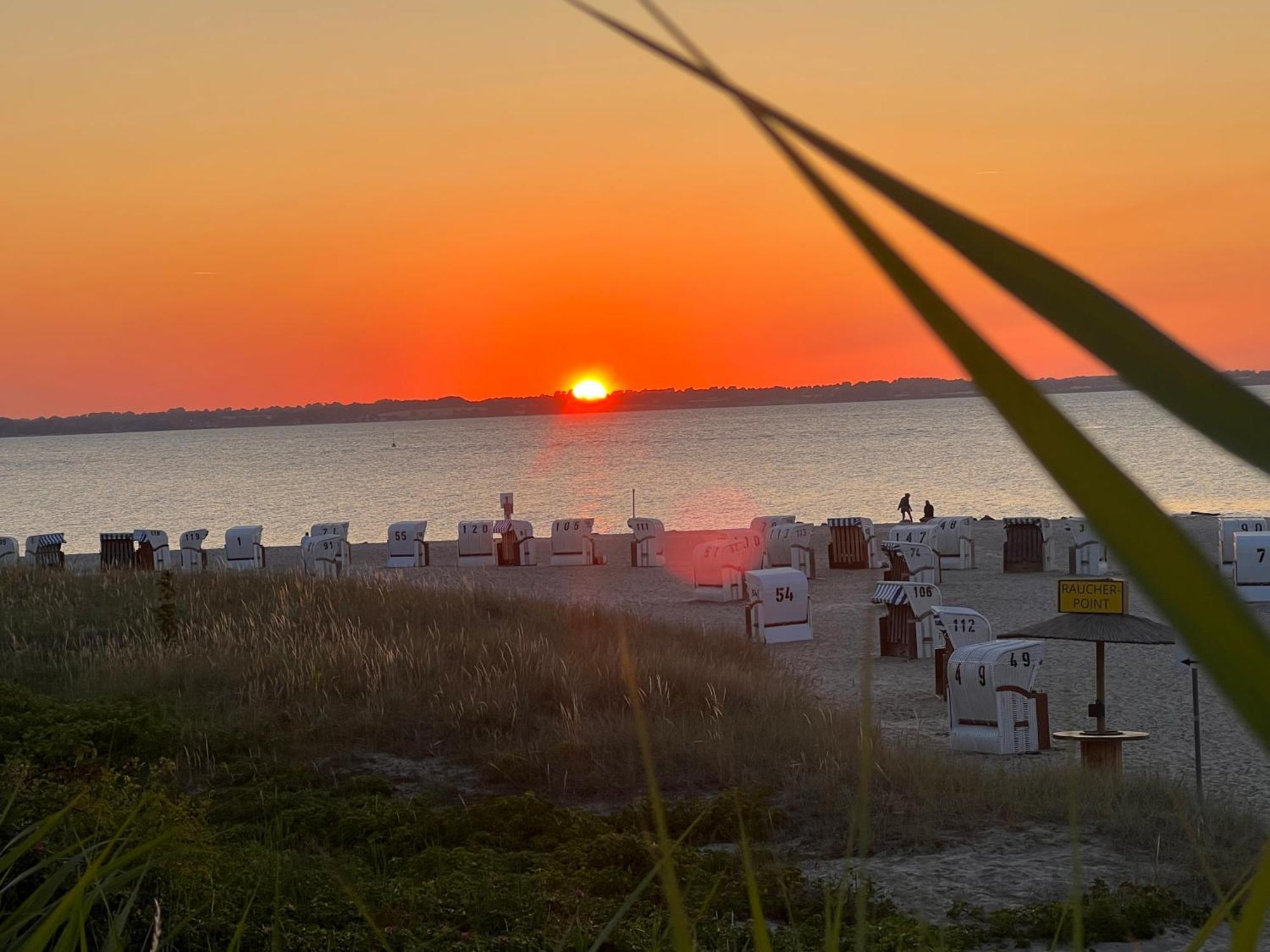 Neue Ferienwohnung An Der Ostsee,Terrasse,Sauna Surendorf ภายนอก รูปภาพ